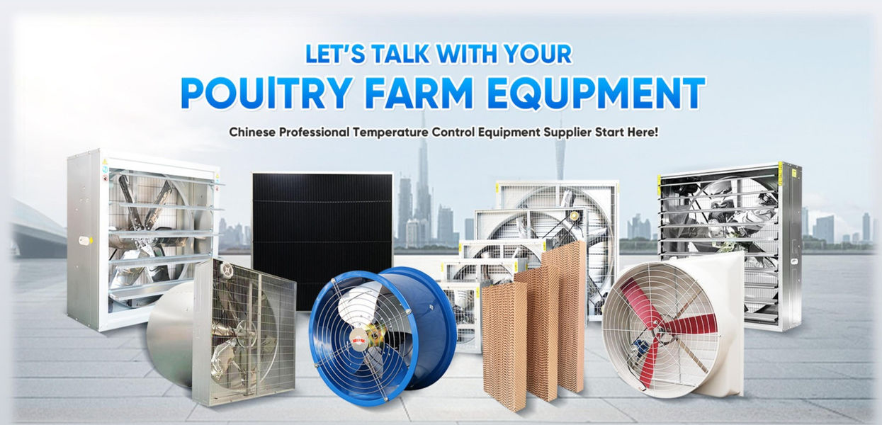 Shandong Xingmuyuan Agriculture and Animal Husbandry Technology Co.,ltd 제조업체의 생산 라인